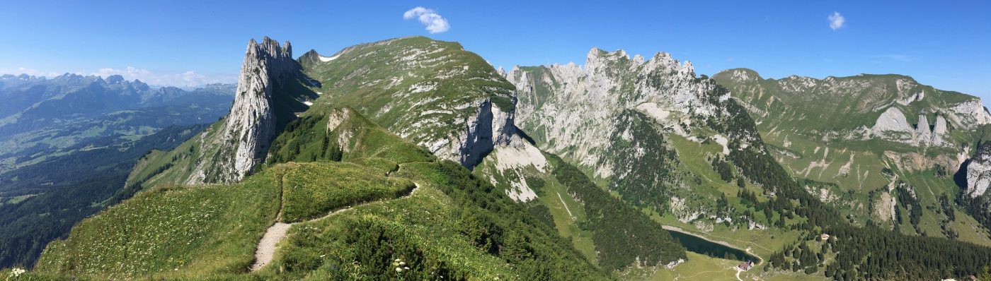 i n s i t e s p o r t